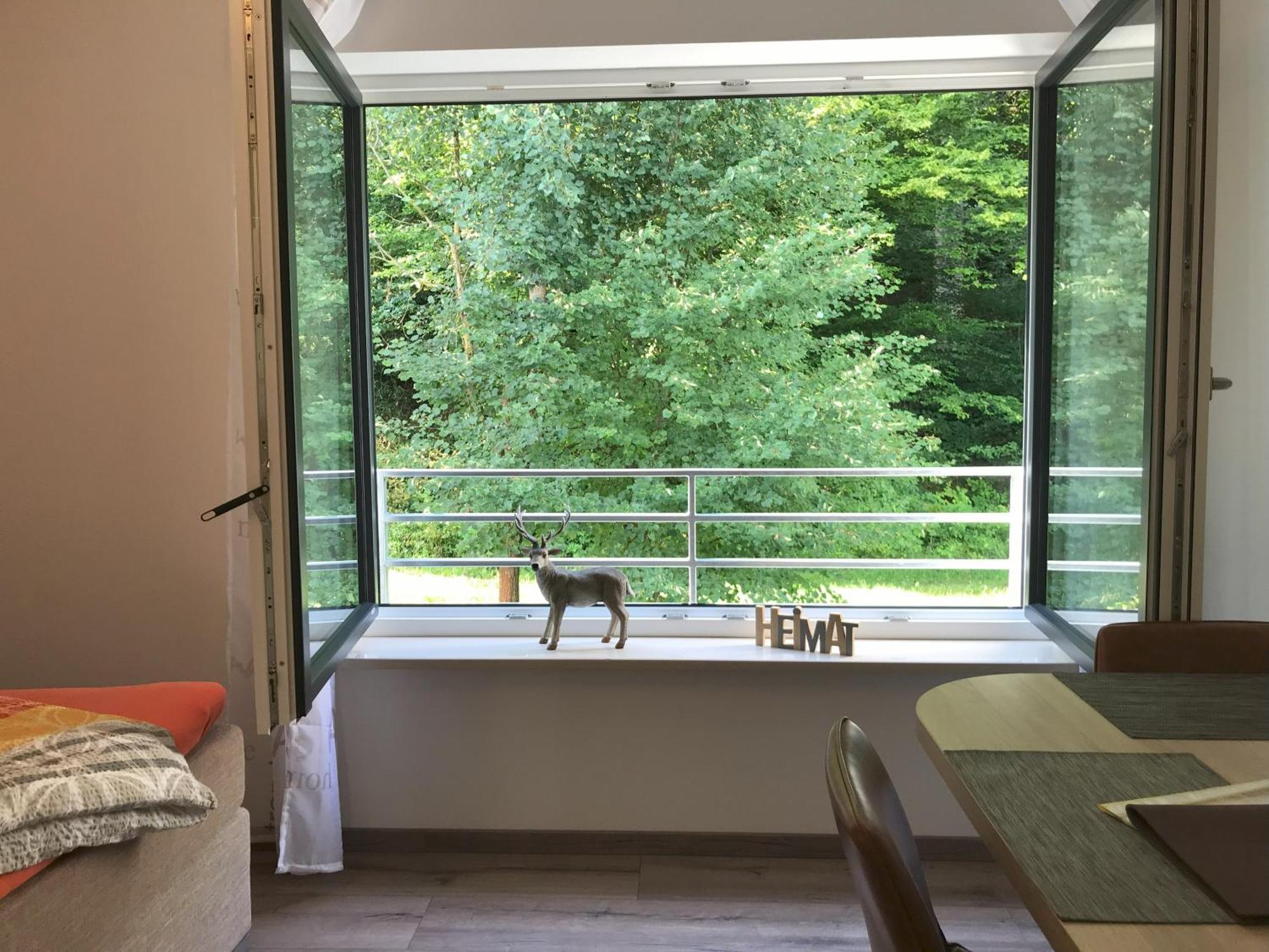 Appartementhaus Angelika Apartment Nittenau